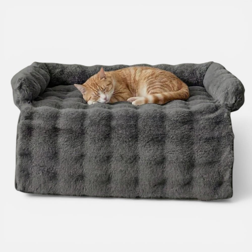 Chat Confort Couverture De Protection De Canapé Couverture De Protection De Canapé : Protegez vos assises
