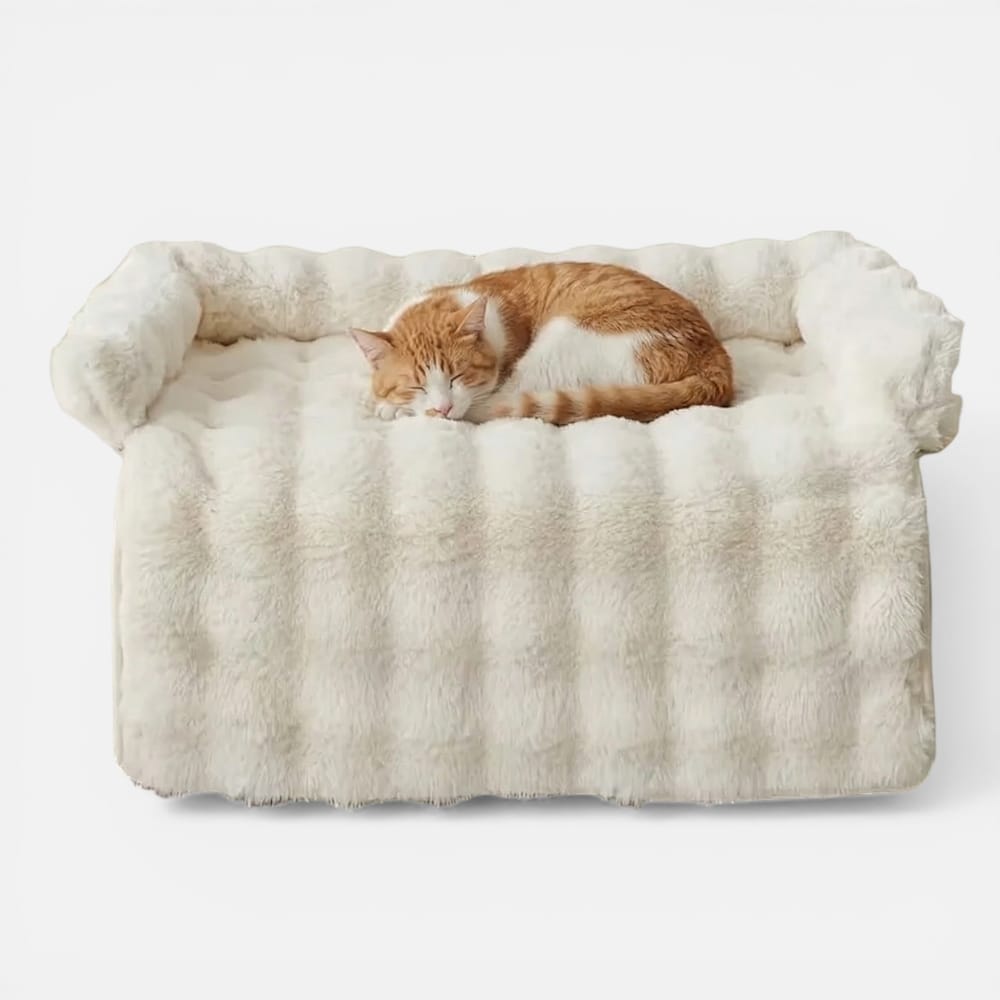 Chat Confort Couverture De Protection De Canapé Couverture De Protection De Canapé : Protegez vos assises
