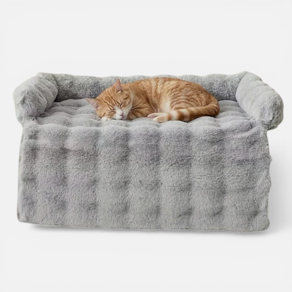 Chat Confort Couverture De Protection De Canapé Couverture De Protection De Canapé : Protegez vos assises
