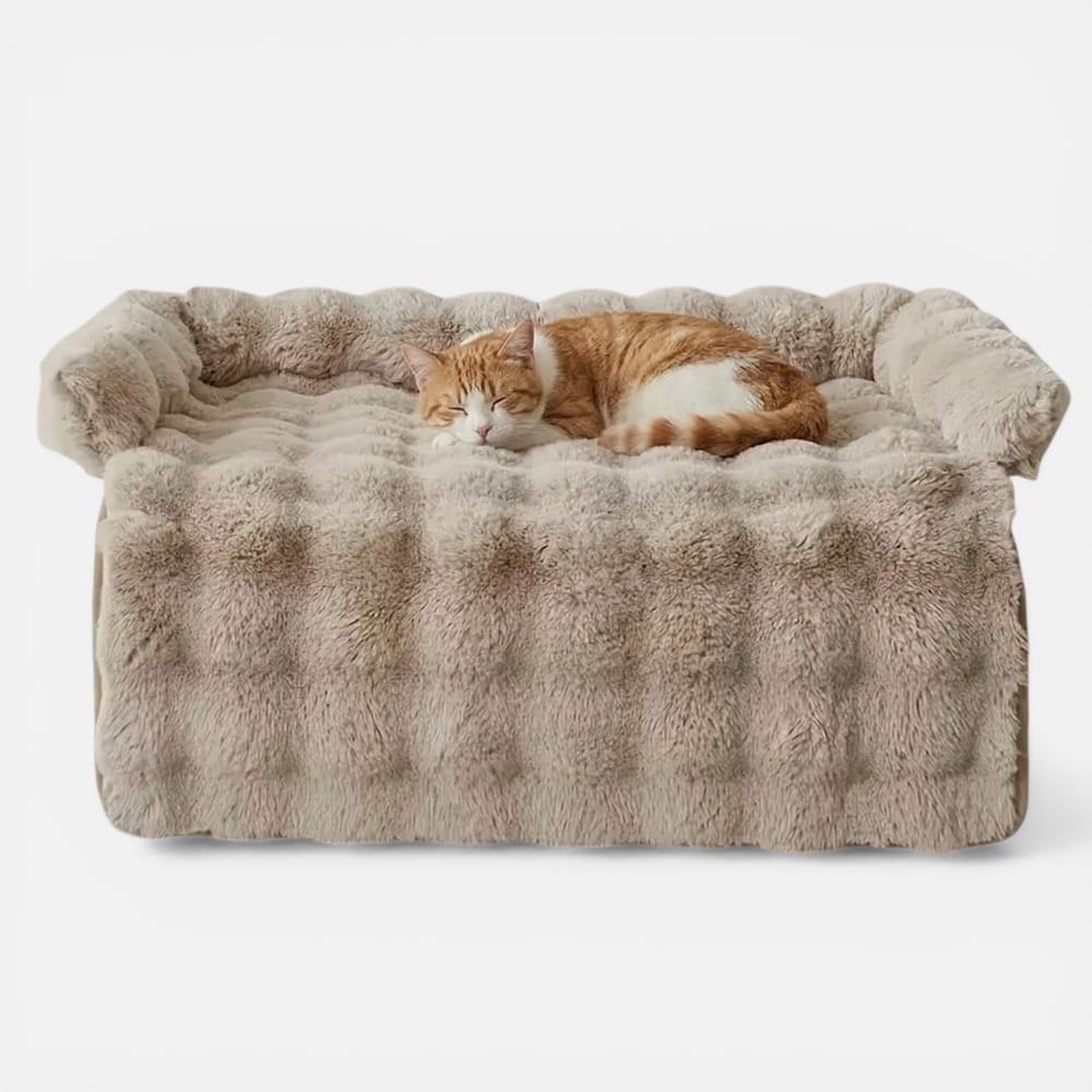 Chat Confort Couverture De Protection De Canapé Couverture De Protection De Canapé : Protegez vos assises