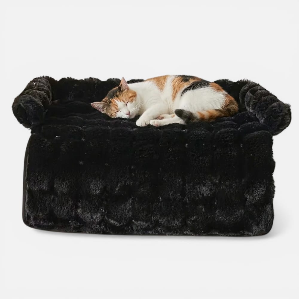 Chat Confort Couverture De Protection De Canapé Couverture De Protection De Canapé : Protegez vos assises