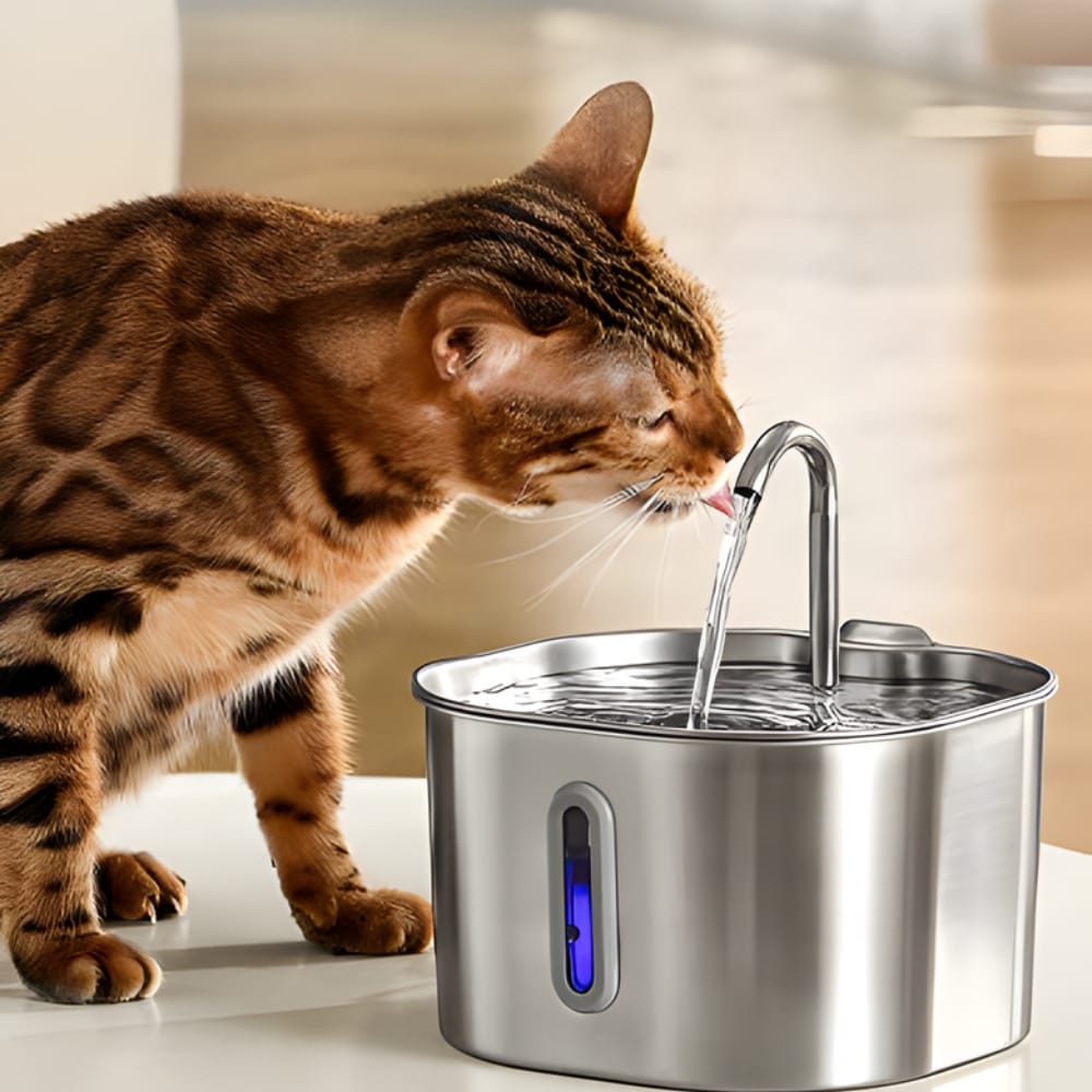 Chat Confort Fontaine à Eau Chat avec Capteur 2.2L Fontaine à Eau Chat avec Capteur 2.2L – Offrez-lui fraîcheur et bien-être