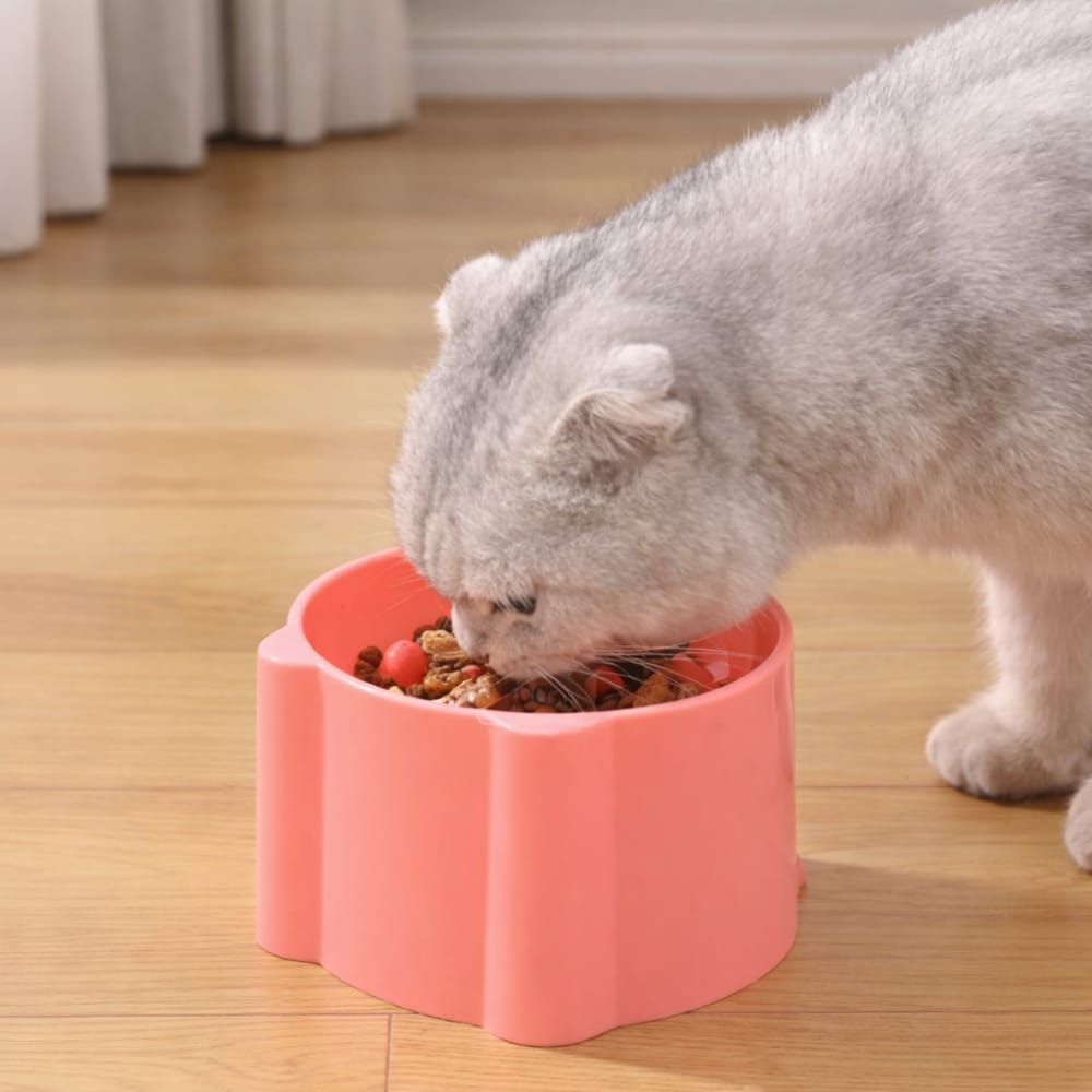 Chat Confort Gamelle anti Glouton Chat Gamelle anti Glouton Chat : Stop au gloutonnage !