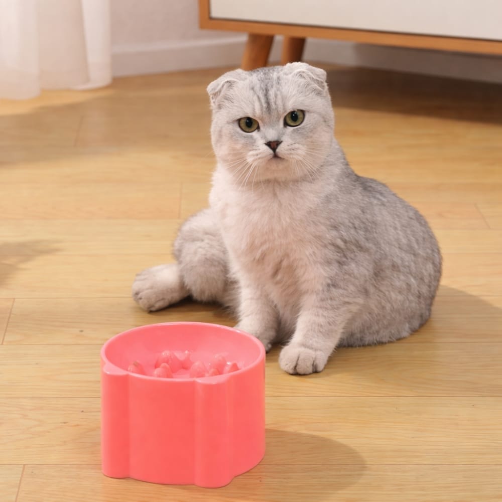 Chat Confort Gamelle anti Glouton Chat Gamelle anti Glouton Chat : Stop au gloutonnage !