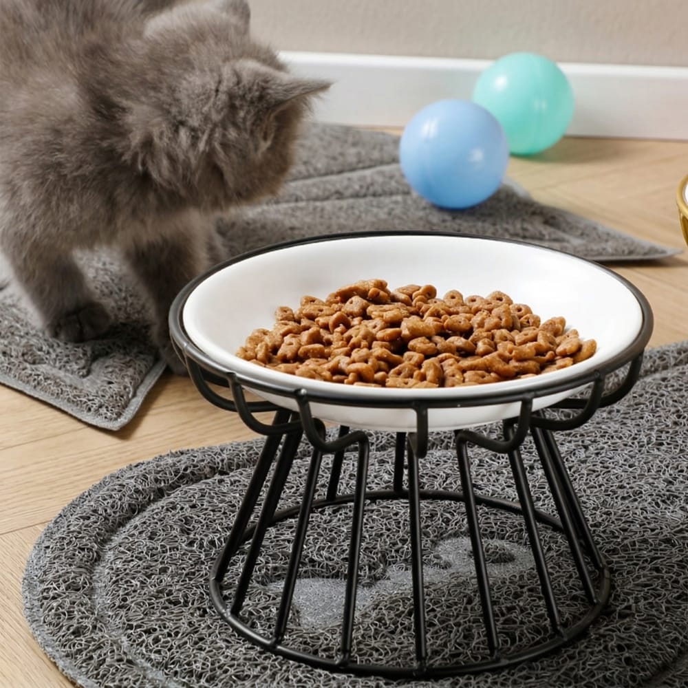 Chat Confort Gamelle Chat Céramique Surélevée Gamelle Chat Céramique Surélevée Confort posture idéale