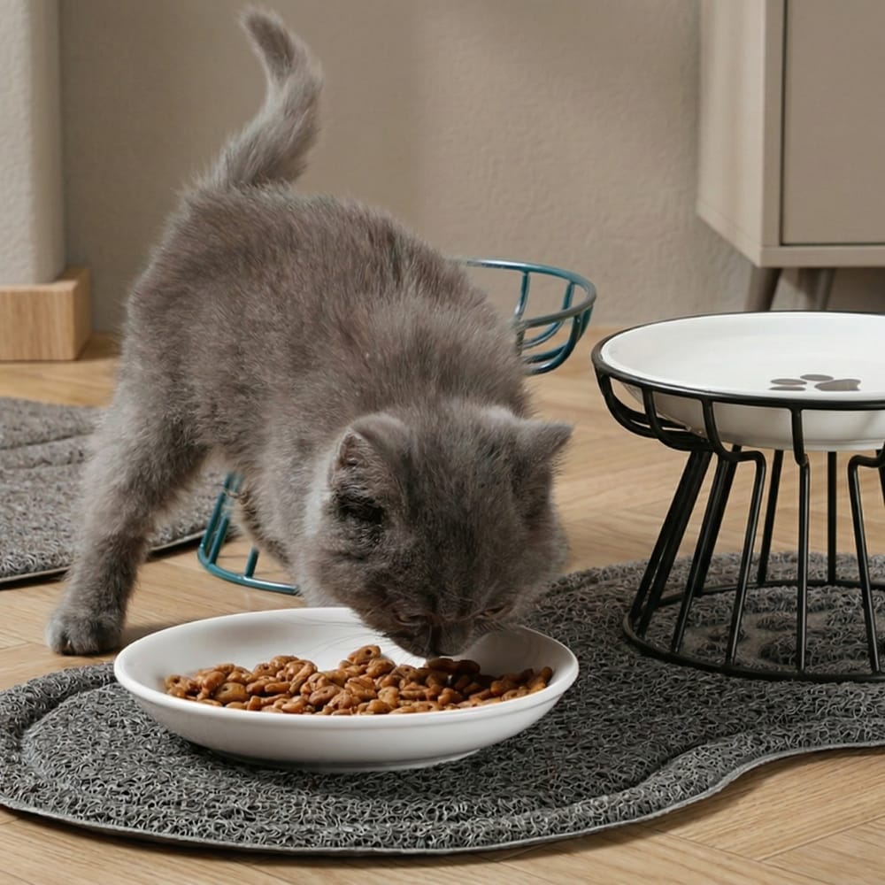 Chat Confort Gamelle Chat Céramique Surélevée Gamelle Chat Céramique Surélevée Confort posture idéale