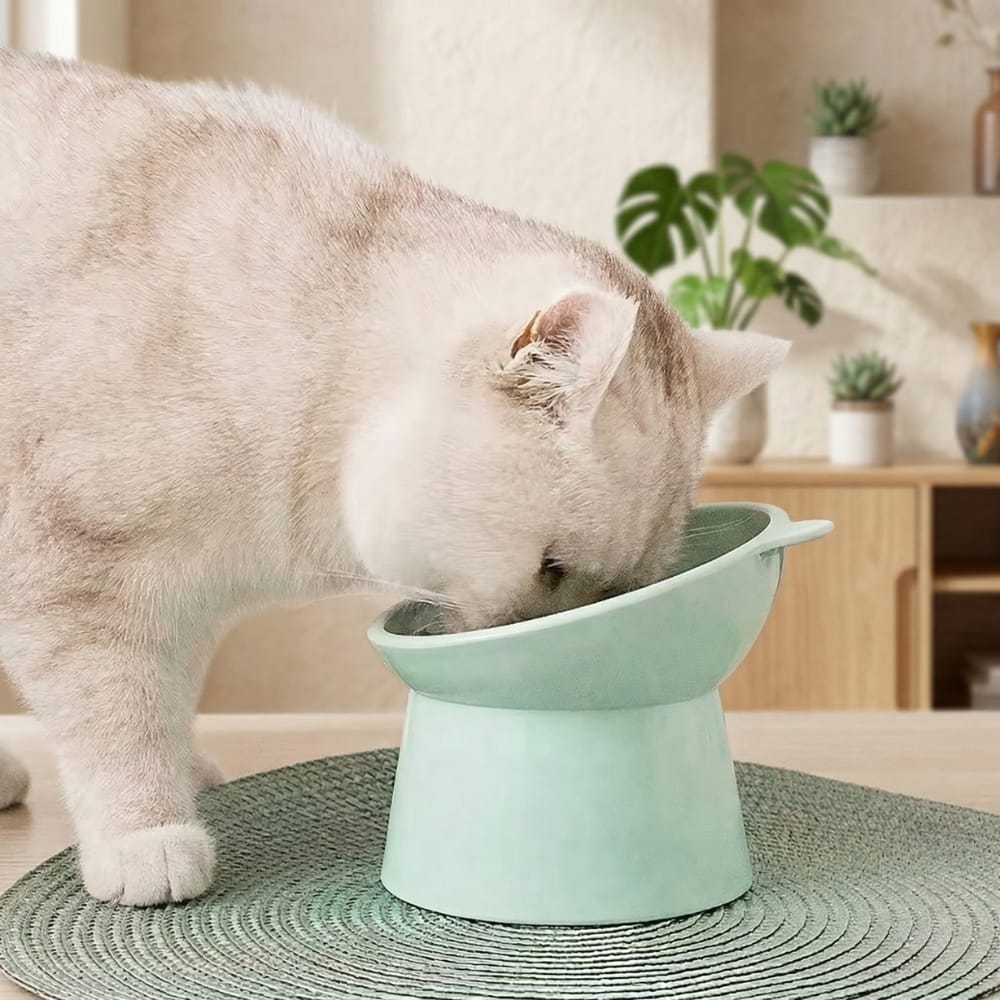 Chat Confort Gamelle Chat Surélevée Anti-Vomissement Gamelle Chat Surélevéé Anti-Vomissement Stop au reflux!