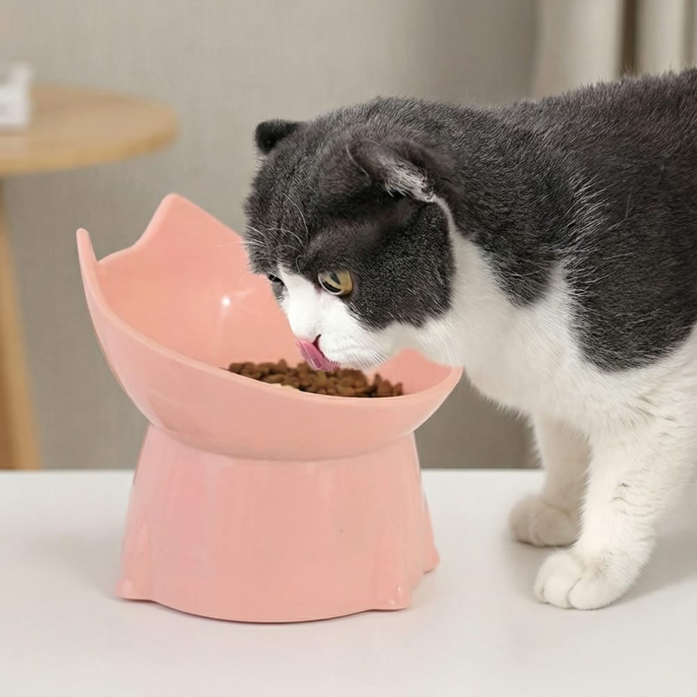 Chat Confort Gamelle Chat Surélevée Anti-Vomissement Gamelle Chat Surélevéé Anti-Vomissement Stop au reflux!
