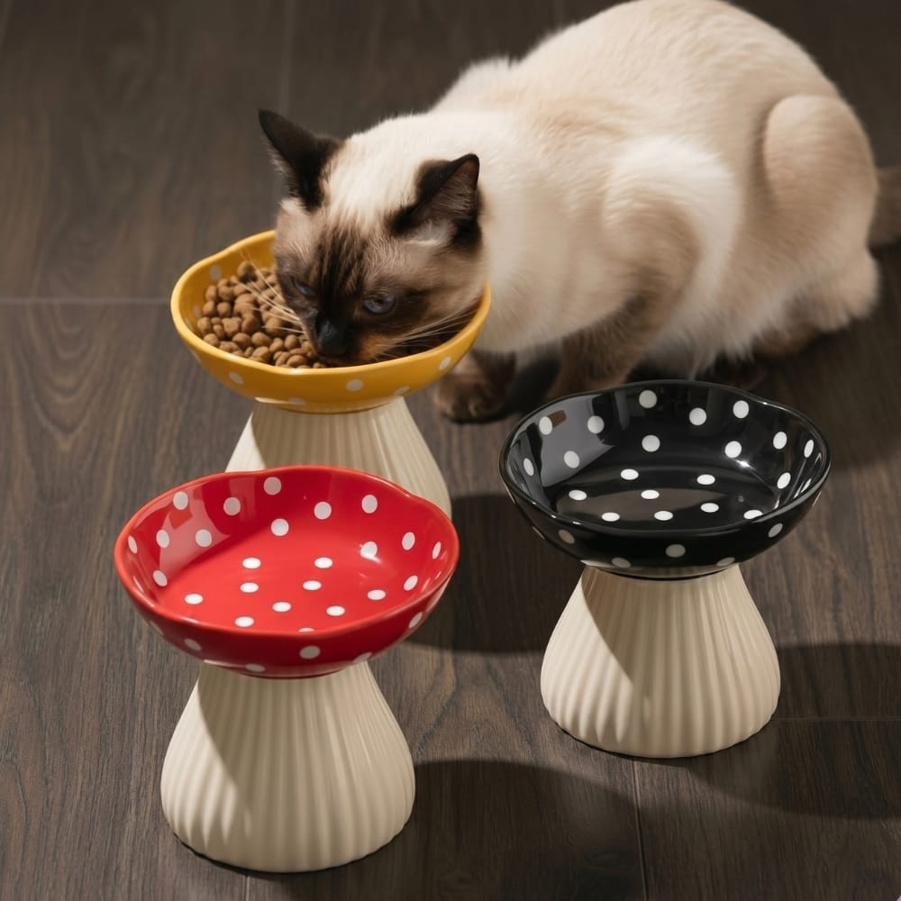Chat Confort Gamelle Surélevée Champignon Gamelle Surélevée Champignon : Soulage la nuque