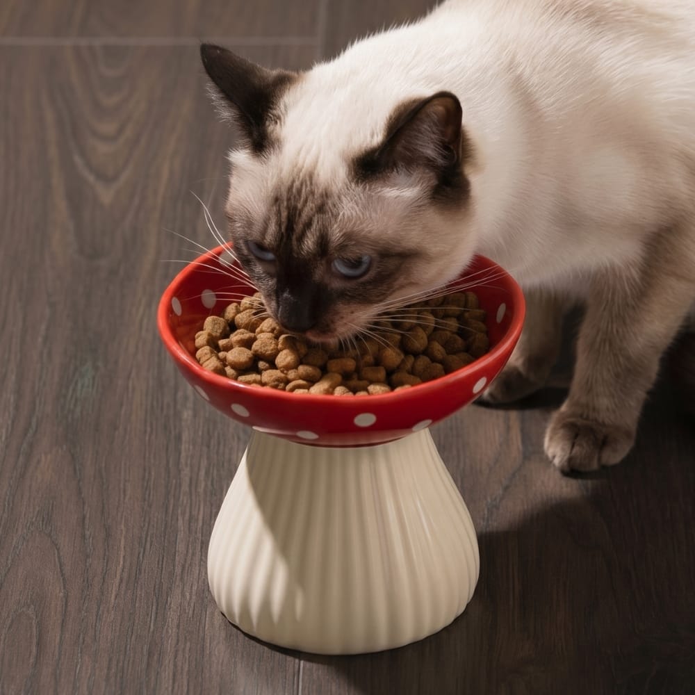 Chat Confort Gamelle Surélevée Champignon Gamelle Surélevée Champignon : Soulage la nuque