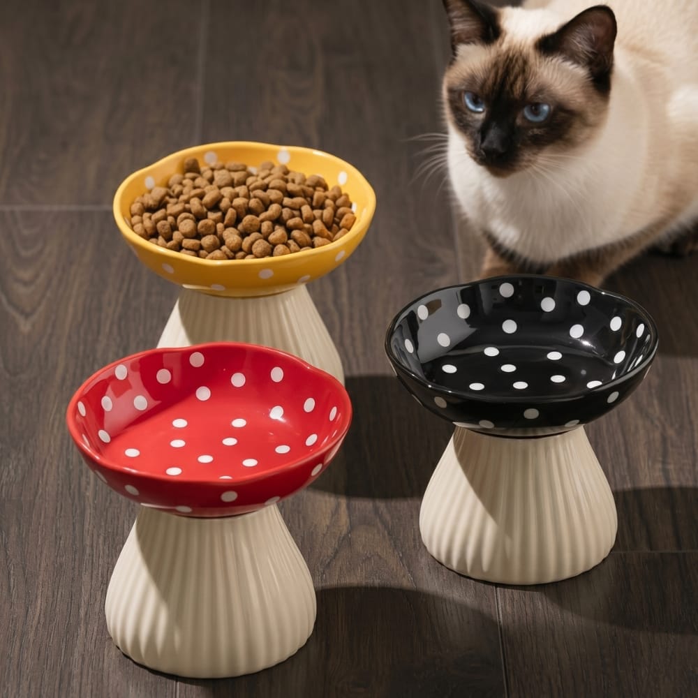 Chat Confort Gamelle Surélevée Champignon Gamelle Surélevée Champignon : Soulage la nuque