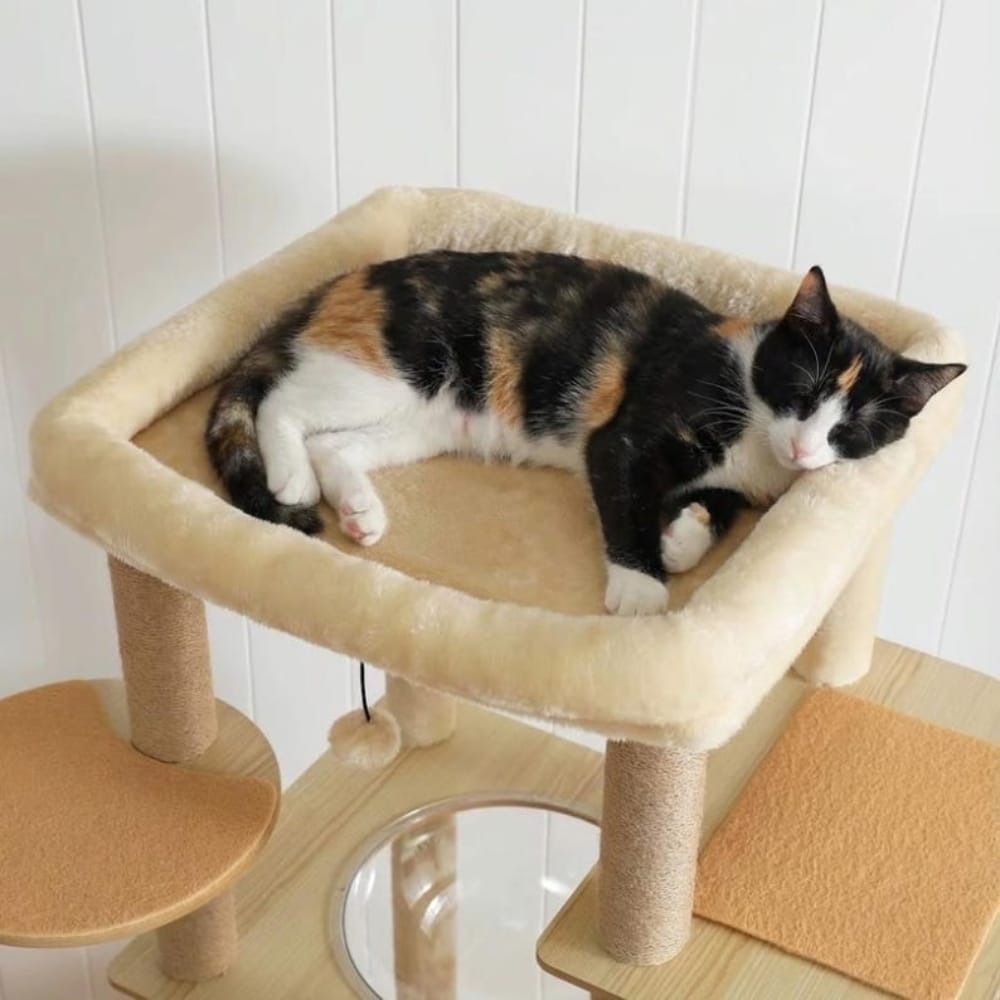 Chat Confort Grand Arbre à Chat en Bois Grand Arbre à Chat en Bois - Offrez du confort à votre chat