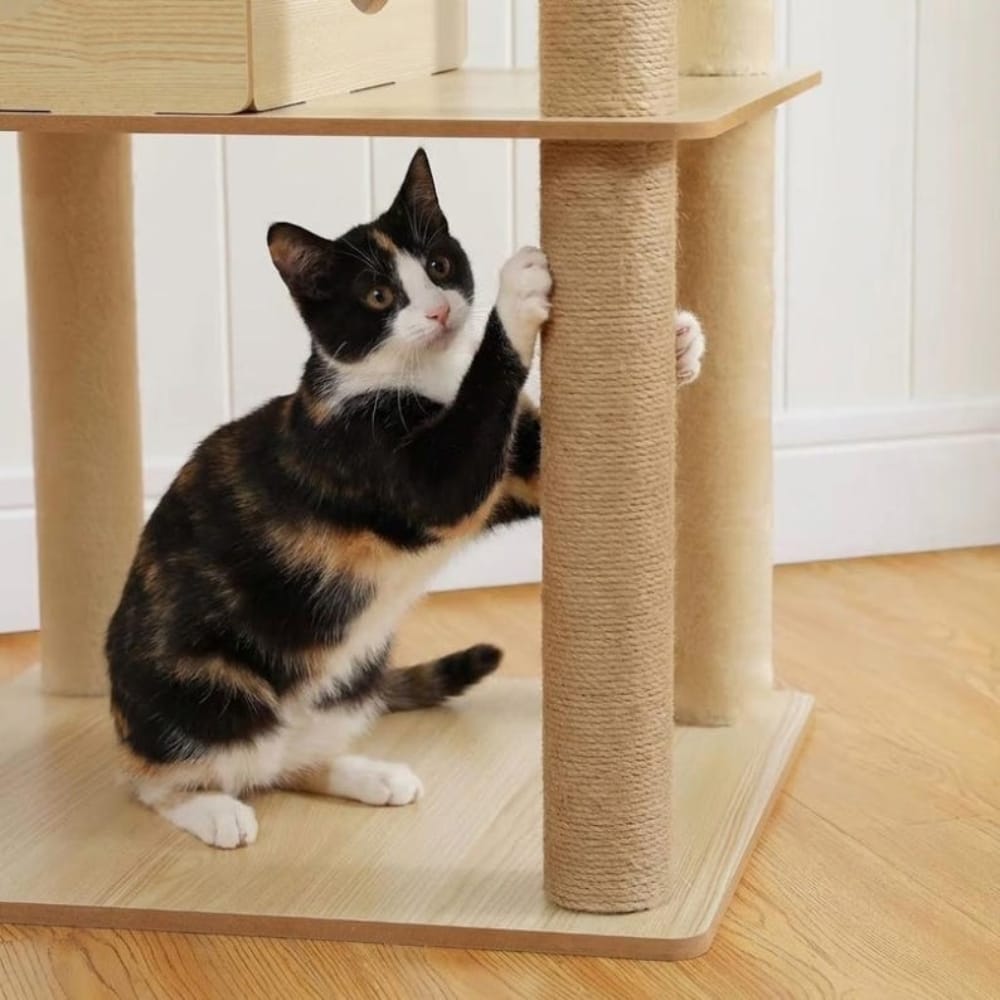 Chat Confort Grand Arbre à Chat en Bois Grand Arbre à Chat en Bois - Offrez du confort à votre chat