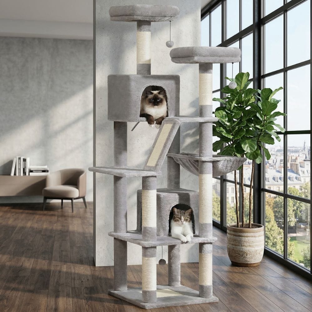 Chat Confort Grand Arbre à Chat Grand arbre à chat : offrez à votre félin un royaume d’aventures