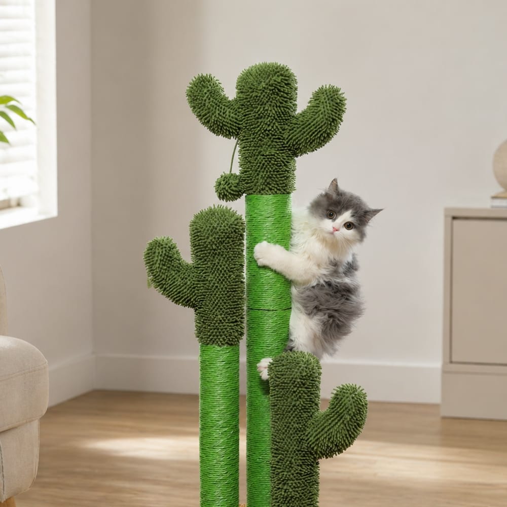 Chat Confort Griffoir Chat Cactus Griffoir Chat Cactus : Protège vos meubles