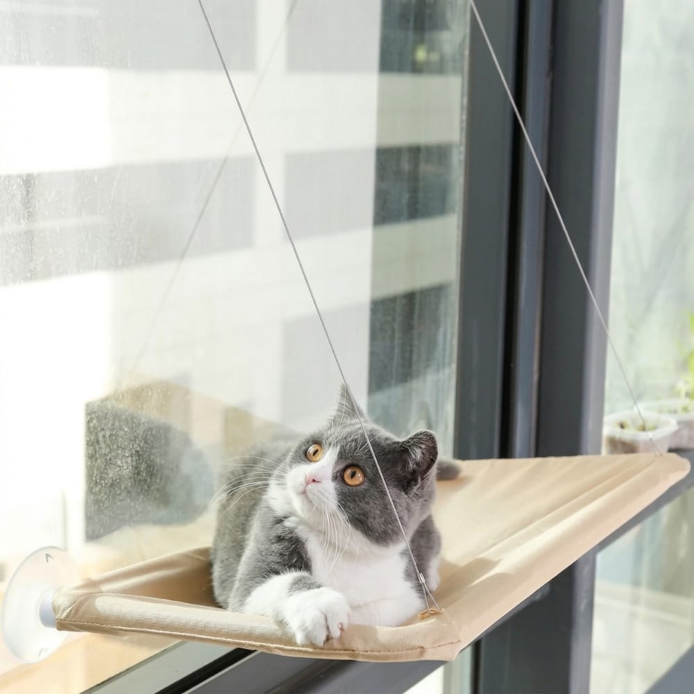 Chat Confort Hamac De Fenêtre À Ventouse Pour Chat Hamac De Fenêtre À ventouse Pour Chat Trouvez le confort! Image
