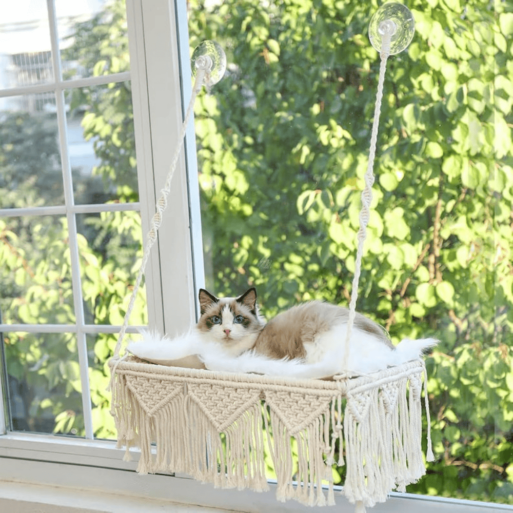 Chat Confort Hamac De Fenêtre Pour Chat En Macramé Hamac De Fenêtre Pour Chat En Macramé Confort immédiat