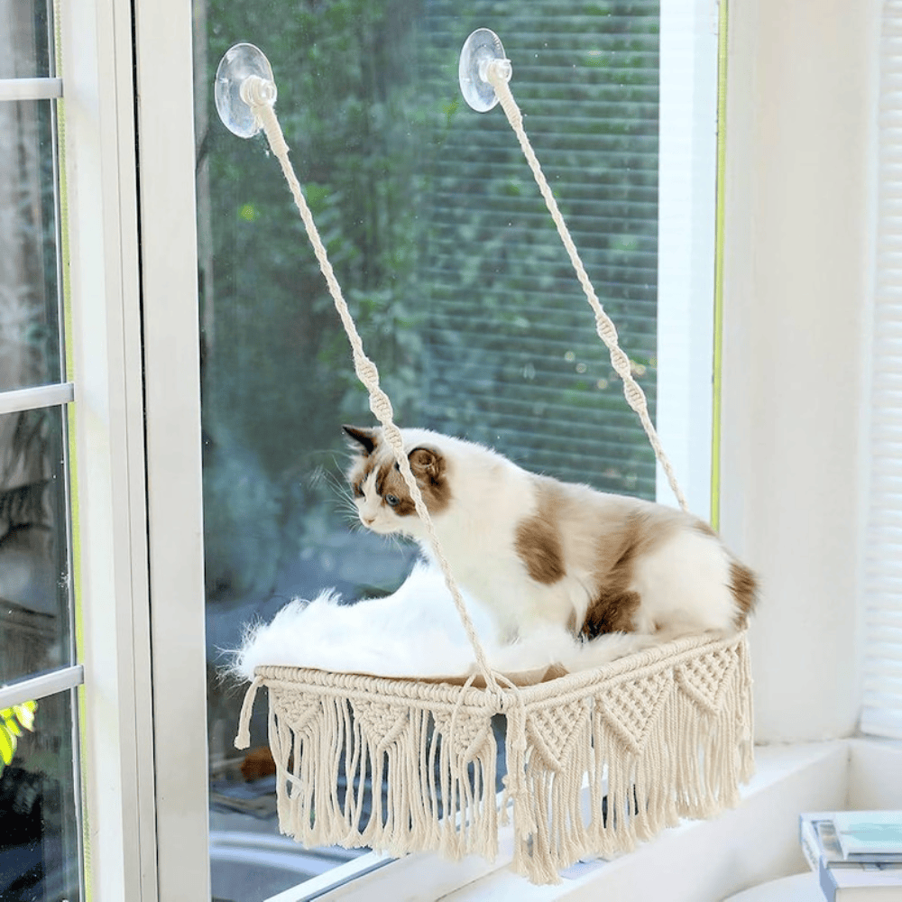 Chat Confort Hamac De Fenêtre Pour Chat En Macramé Hamac De Fenêtre Pour Chat En Macramé Confort immédiat Image