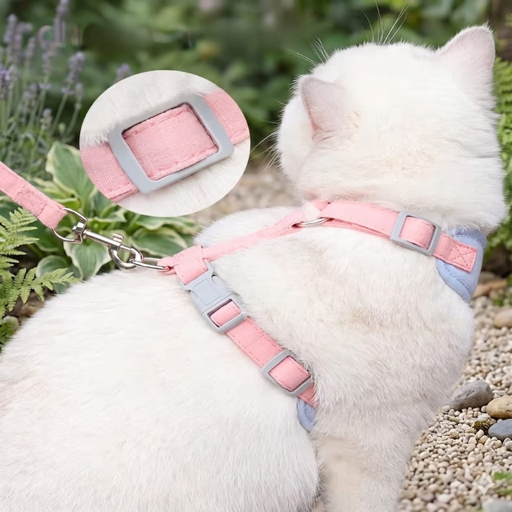 Chat Confort Harnais Pour Chat Ajustable Harnais Pour Chat Ajustable: Confort Sécurisé