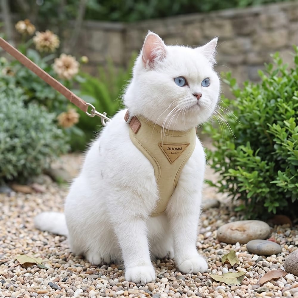 Chat Confort Harnais Pour Chat Ajustable Harnais Pour Chat Ajustable: Confort Sécurisé Image