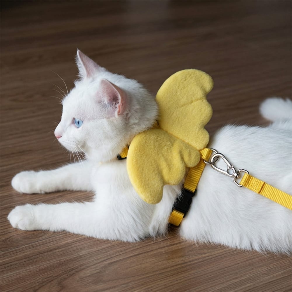 Chat Confort Harnais Pour Chat Avec Ailes Harnais Pour Chat Avec Ailes : Sécurisez ses balades
