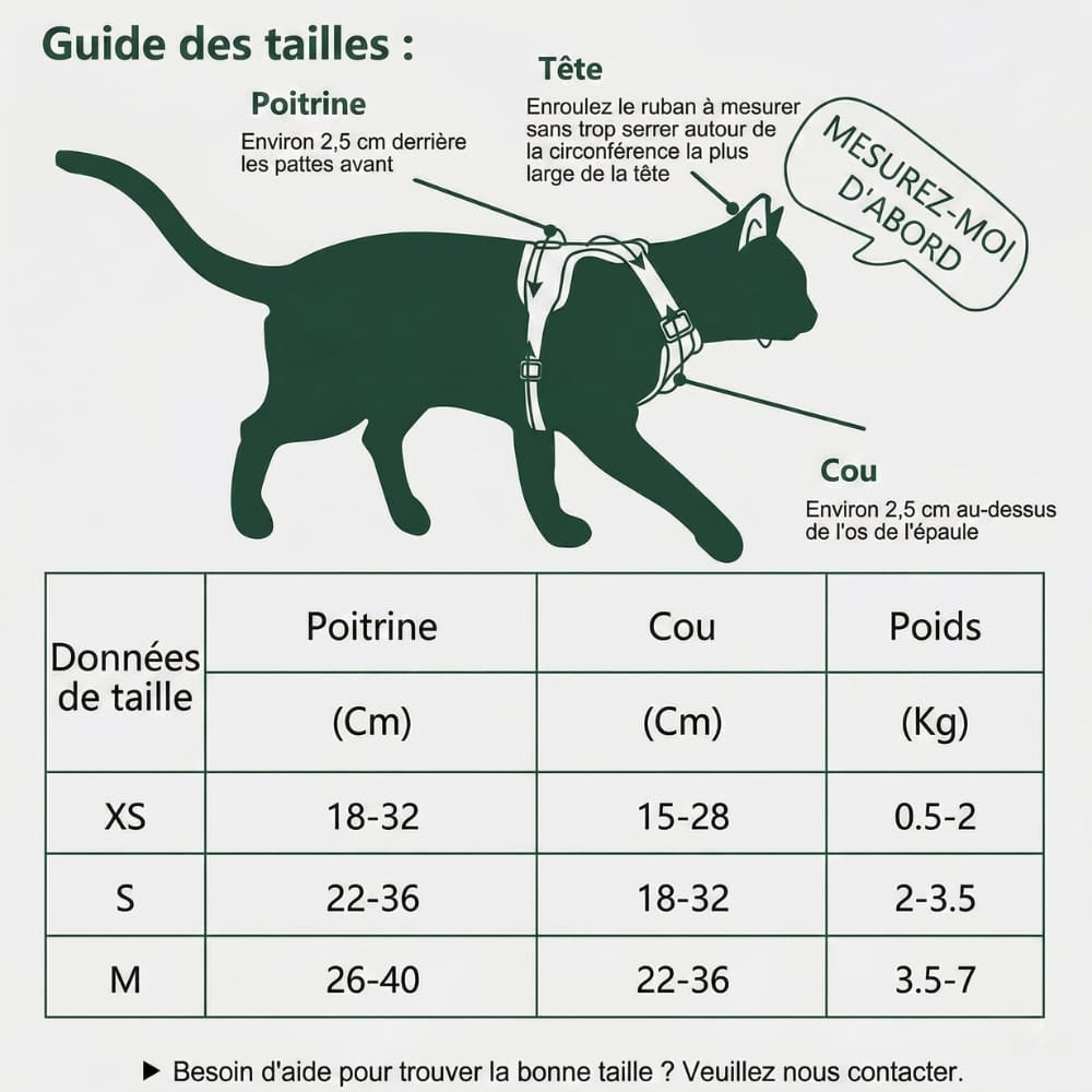 Chat Confort Harnais Pour Chat Avec Ailes Harnais Pour Chat Avec Ailes : Sécurisez ses balades