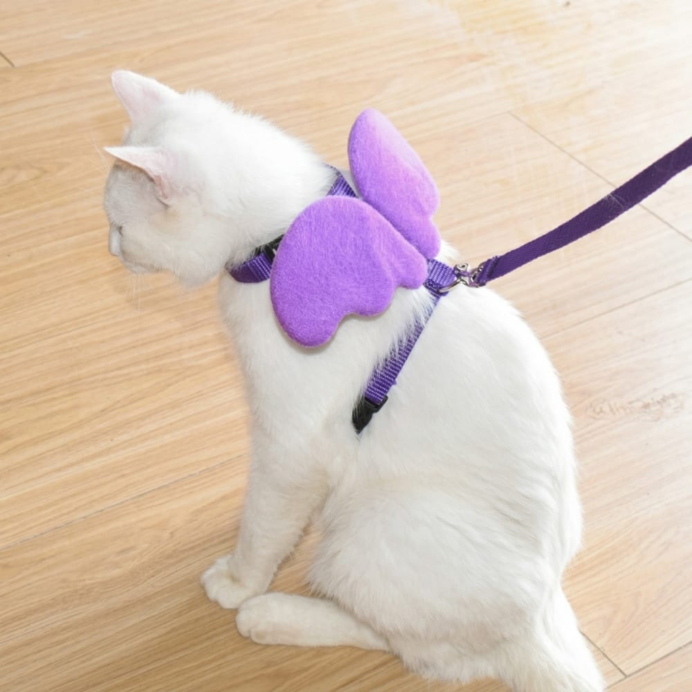 Chat Confort Harnais Pour Chat Avec Ailes Harnais Pour Chat Avec Ailes : Sécurisez ses balades