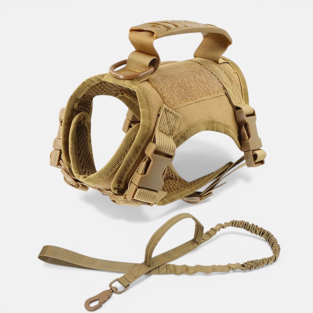 Chat Confort Harnais Tactique Pour Chat Harnais Tactique Pour Chat - Anti Fugue Et Confortable