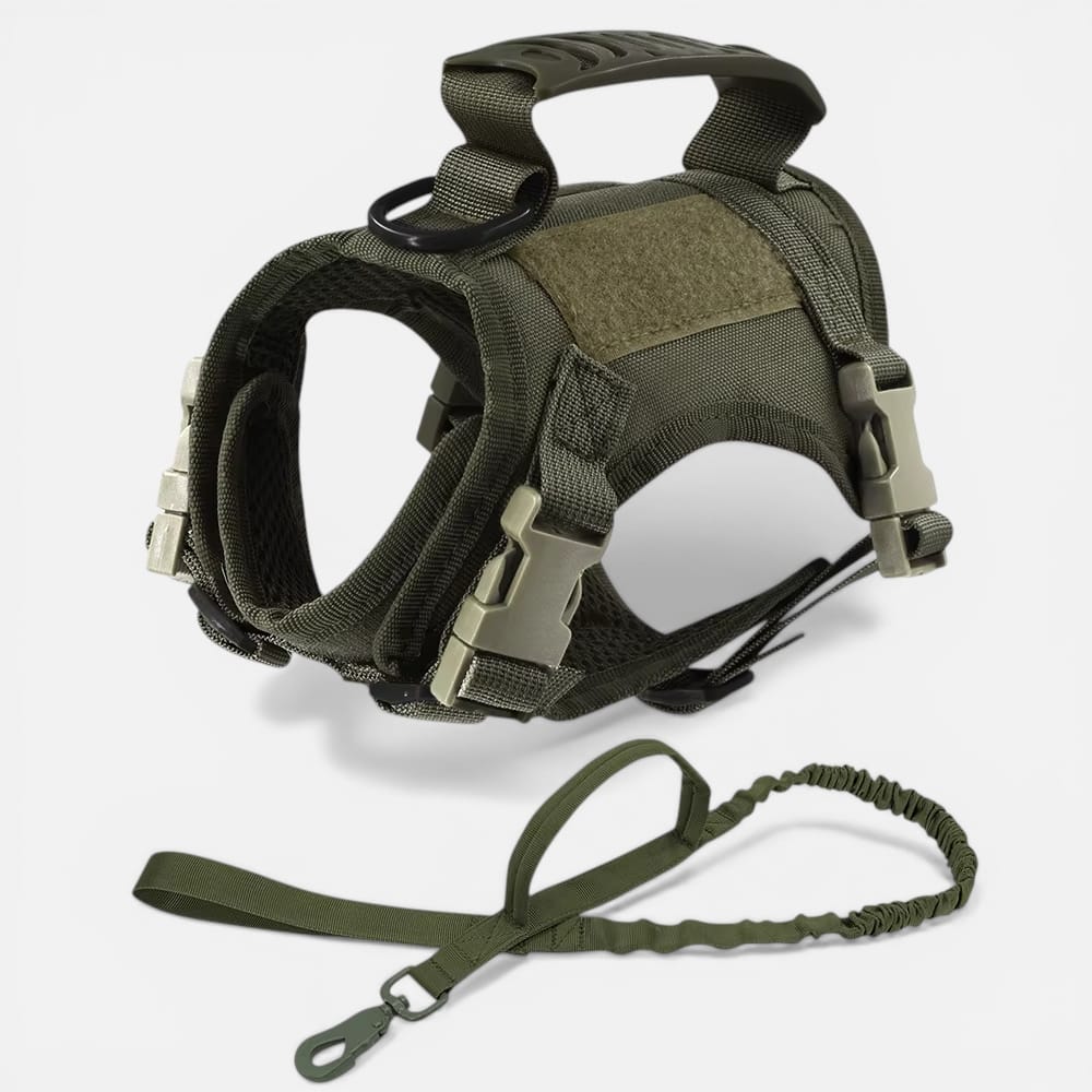 Chat Confort Harnais Tactique Pour Chat Harnais Tactique Pour Chat - Anti Fugue Et Confortable