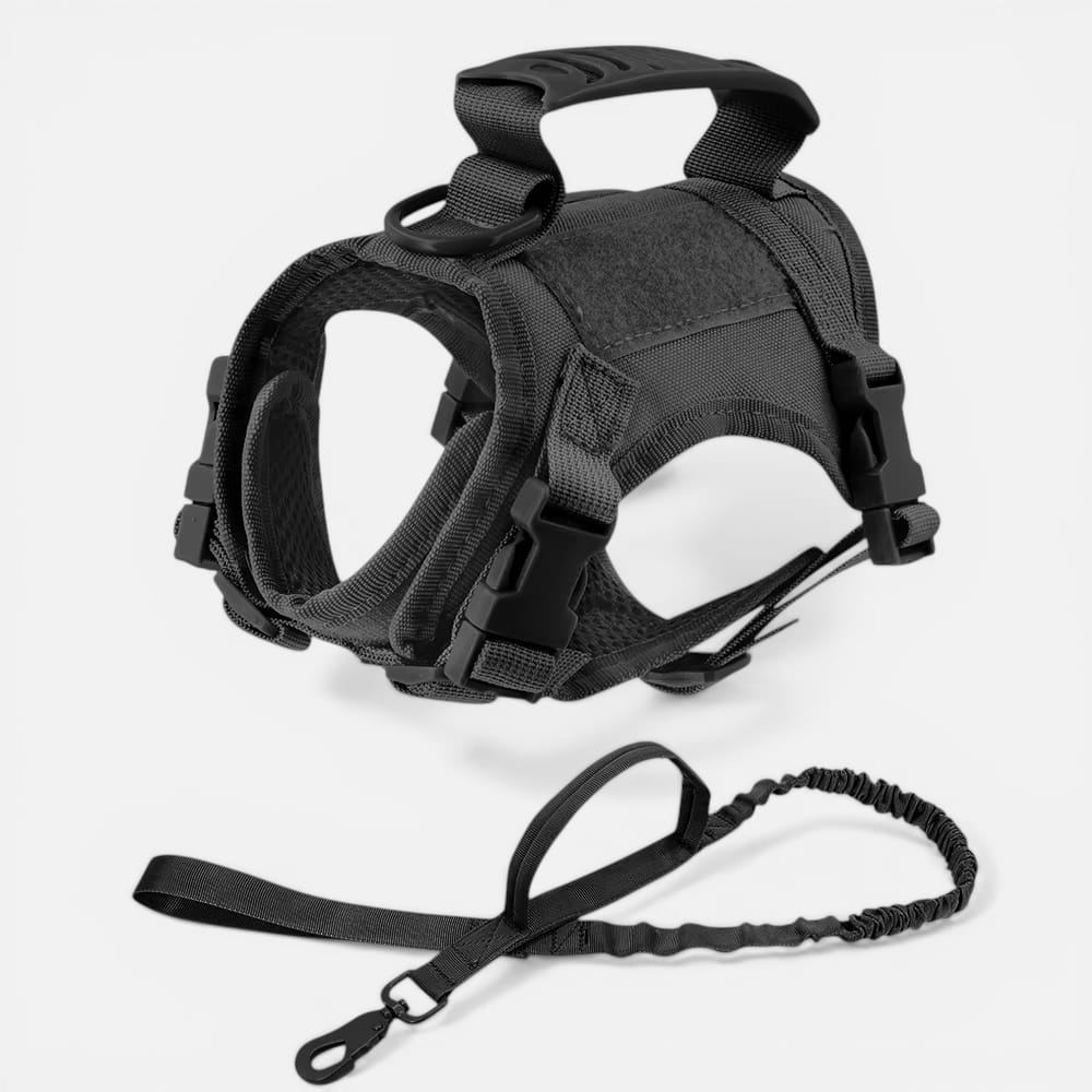 Chat Confort Harnais Tactique Pour Chat Harnais Tactique Pour Chat - Anti Fugue Et Confortable