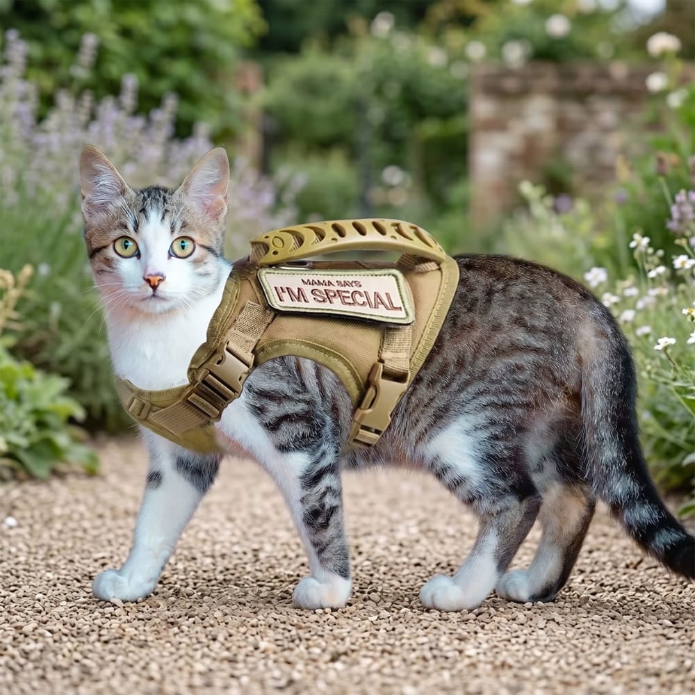 Chat Confort Harnais Tactique Pour Chat Harnais Tactique Pour Chat - Anti Fugue Et Confortable