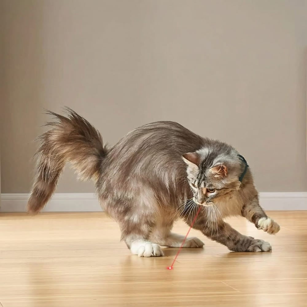Chat Confort Jouet Collier Laser Pour Chat Jouet Collier Laser Pour Chat Stimulation instantanée ! Image