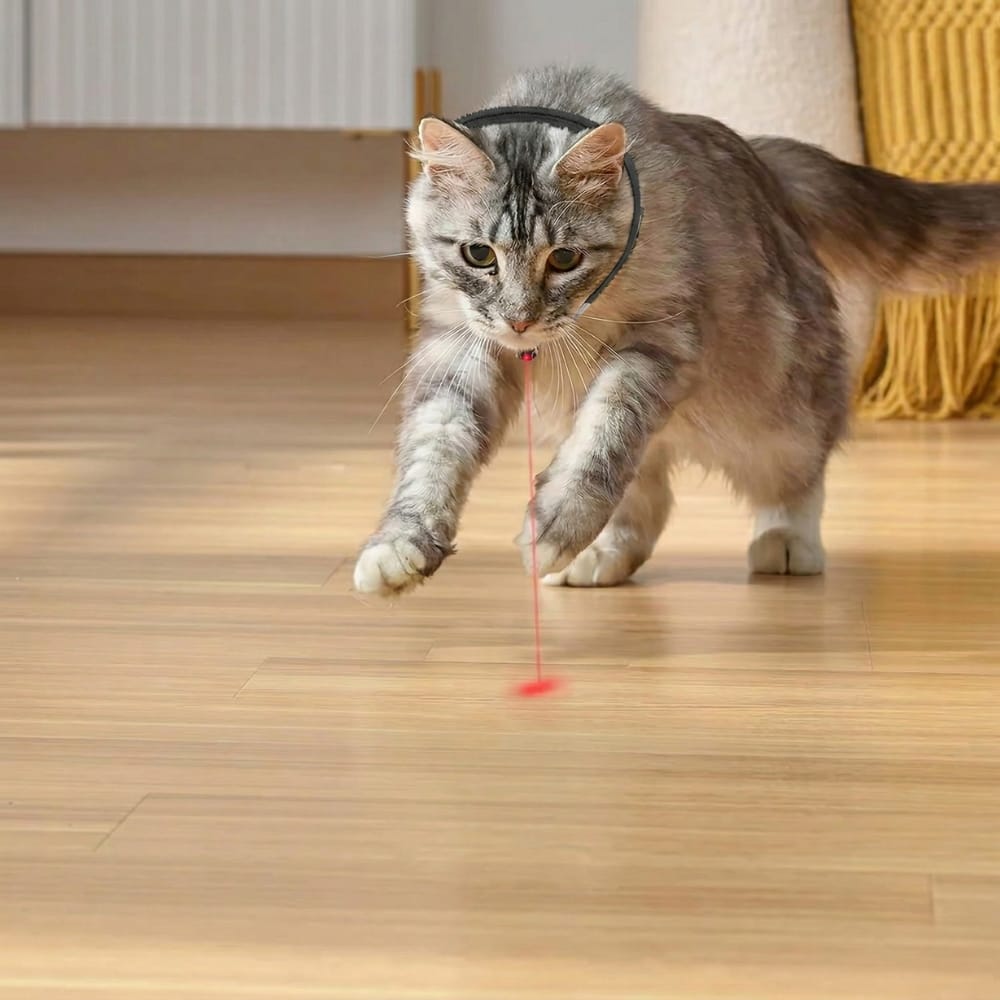 Chat Confort Jouet Collier Laser Pour Chat Jouet Collier Laser Pour Chat Stimulation instantanée !