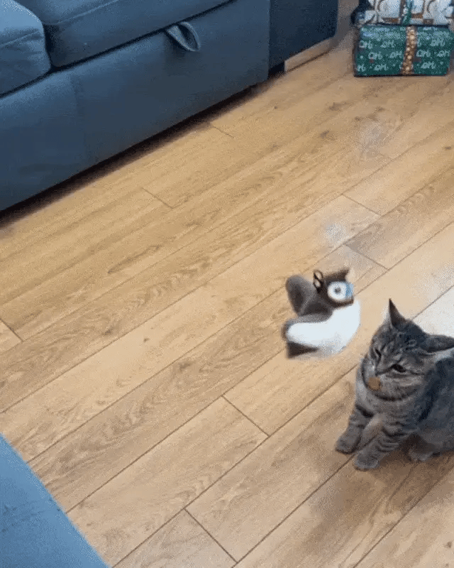 Chat Confort Jouet Pour Chat - Oiseau Anti Ennui Jouet Pour Chat - Oiseau Anti Ennui Occupe ton chat !