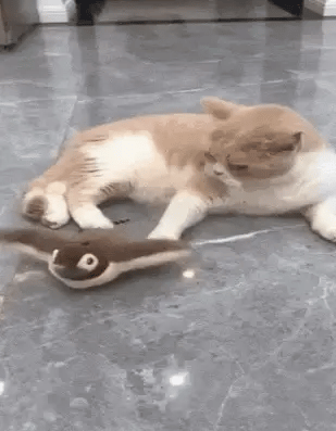 Chat Confort Jouet Pour Chat - Oiseau Anti Ennui Jouet Pour Chat - Oiseau Anti Ennui Occupe ton chat !