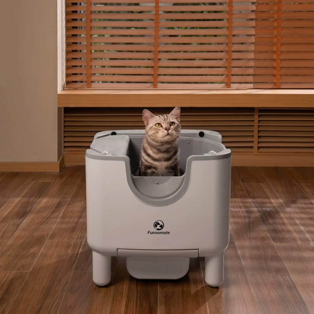 Chat Confort Litière Automatique Furoomate Litière automatique Furoomate Propre sans effort