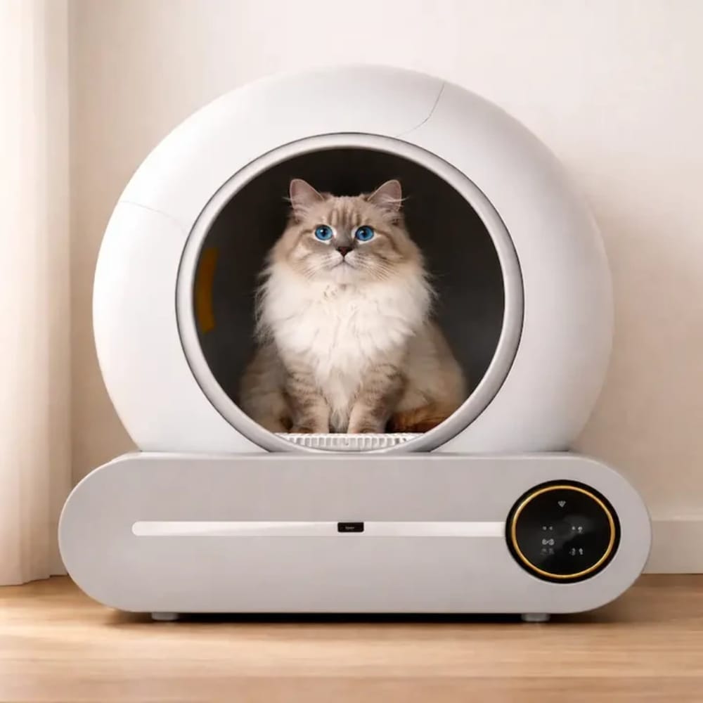 Chat Confort Litière Autonettoyante Et Automatique - LitBall Litière Autonettoyante Et Automatique - Facilitez Vous La Vie ! Image