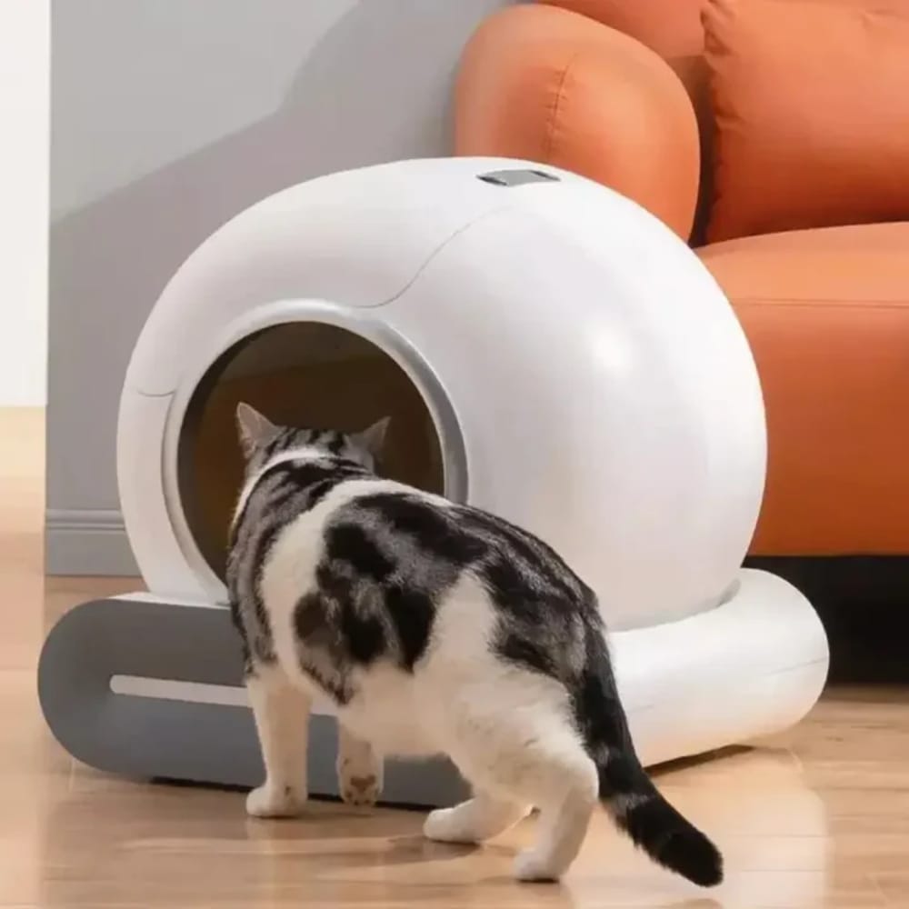 Chat Confort Litière Autonettoyante Et Automatique - LitBall Litière Autonettoyante Et Automatique - Facilitez Vous La Vie !