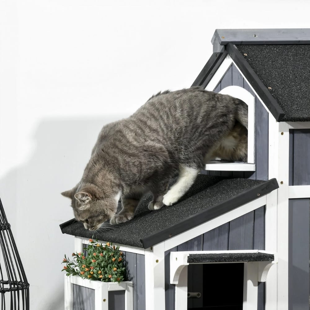 Chat Confort Maison Extérieur Pour Chat - Multi Niche Maison Exterieur Pour Chat - Multi Niche Confort dehors Image