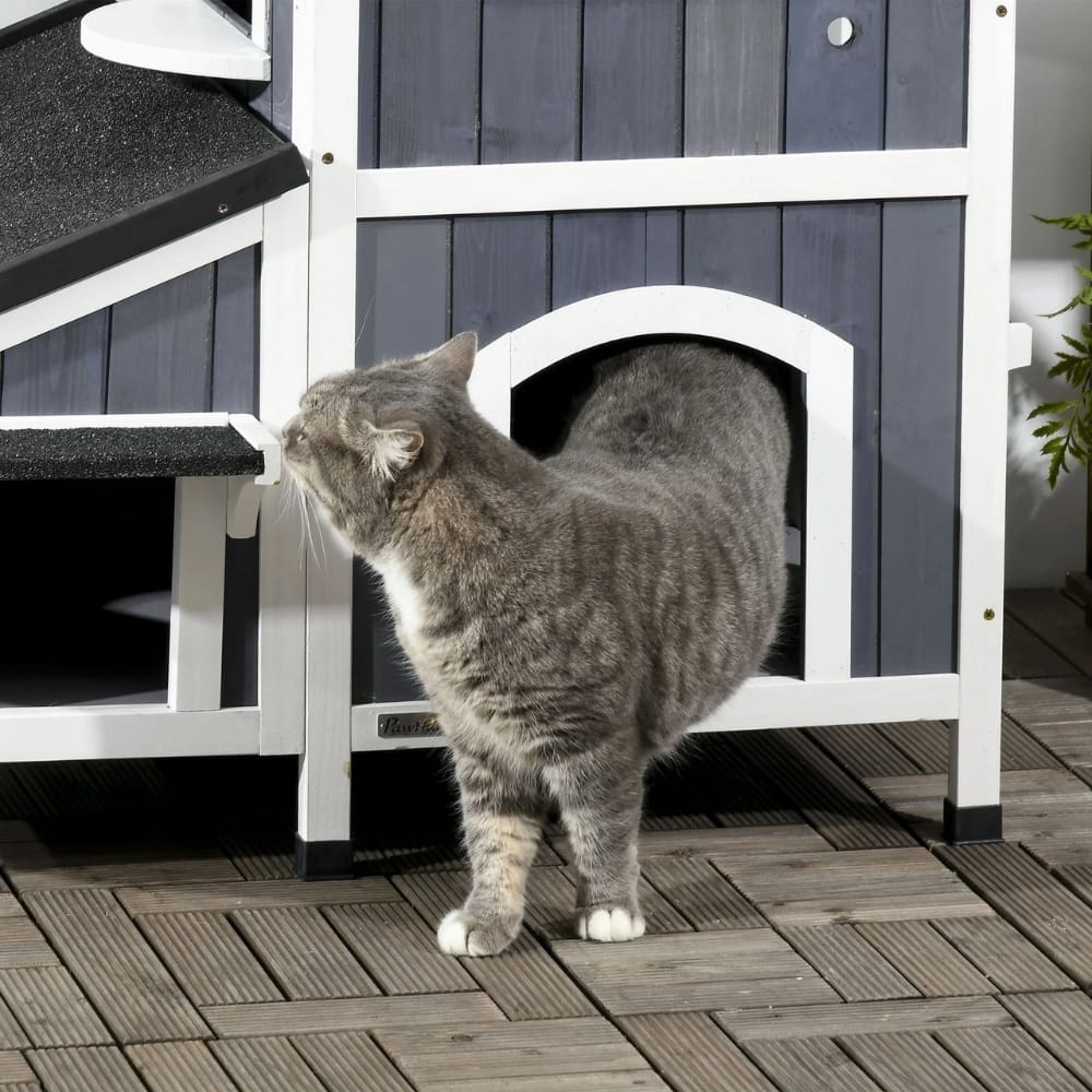Chat Confort Maison Extérieur Pour Chat - Multi Niche Maison Exterieur Pour Chat - Multi Niche Confort dehors