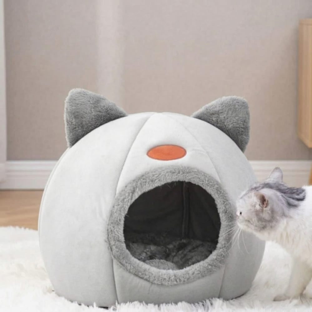Chat Confort Niche Pour Chat Intérieur Niche Pour Chat Intérieur : Offrez du confort