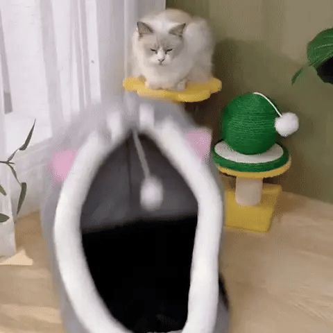 Chat Confort Panier Doux Pour Chat Panier Doux Pour Chat: Offrez-lui confort irrésistible Image