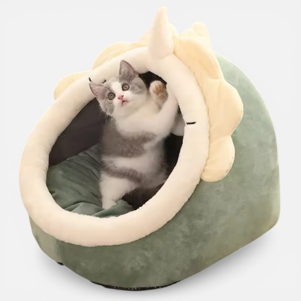 Chat Confort Panier Doux Pour Chat Panier Doux Pour Chat: Offrez-lui confort irrésistible