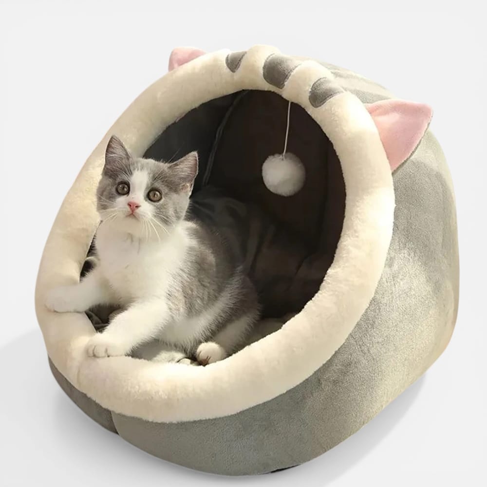 Chat Confort Panier Doux Pour Chat Panier Doux Pour Chat: Offrez-lui confort irrésistible