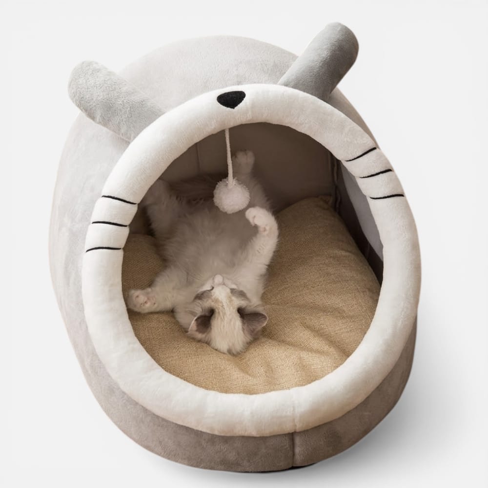 Chat Confort Panier Doux Pour Chat Panier Doux Pour Chat: Offrez-lui confort irrésistible