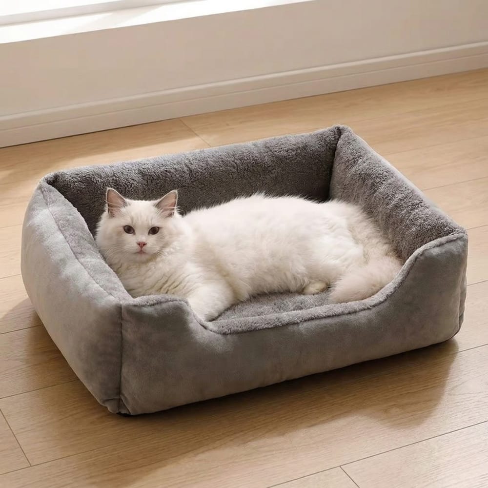 Chat Confort Panier Pour Chat Confortable Panier Pour Chat Confortable : Offrez un cocon doux Image