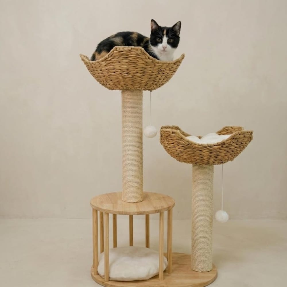 Chat Confort Petit Arbre à Chat Design Petit Arbre à Chat Design : Craquez !