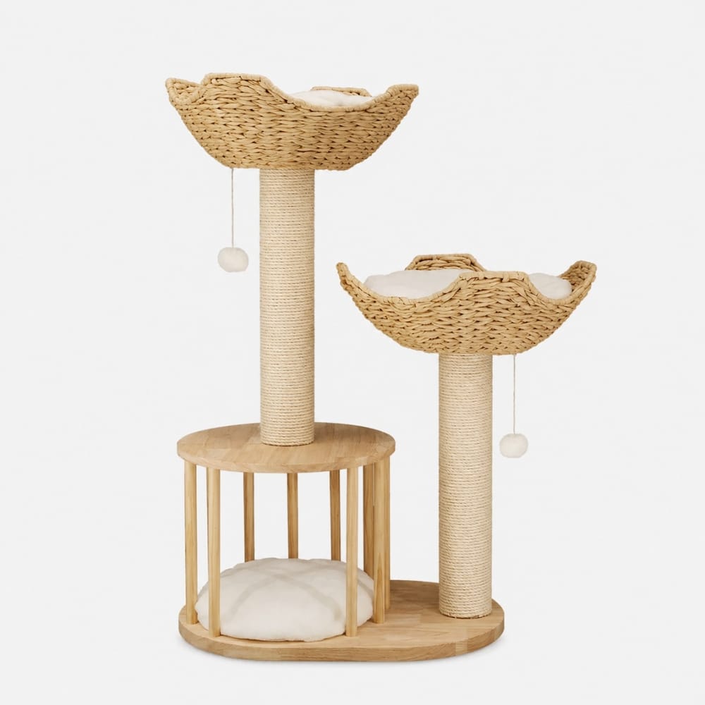 Chat Confort Petit Arbre à Chat Design Petit Arbre à Chat Design : Craquez !