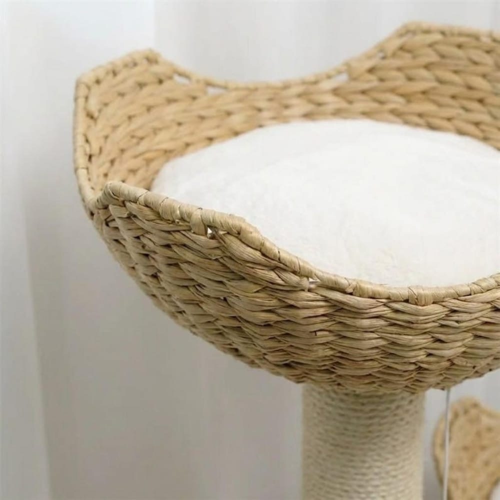 Chat Confort Petit Arbre à Chat Design Petit Arbre à Chat Design : Craquez !
