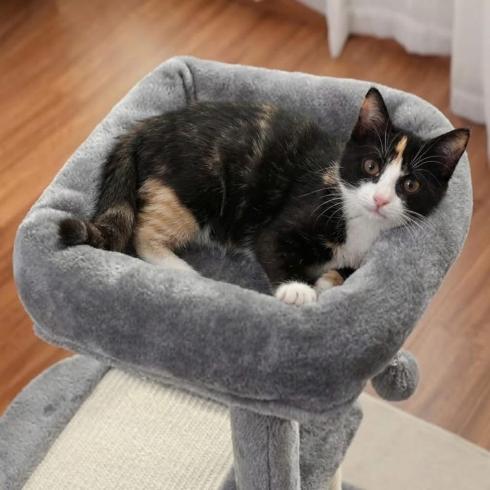 Chat Confort Petit Arbre à Chat Petit Arbre à Chat : Offrez-lui son repère